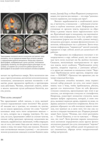 Rita karter kak_rabotaet_mozg