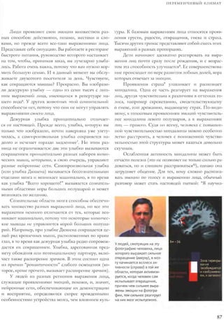 Rita karter kak_rabotaet_mozg