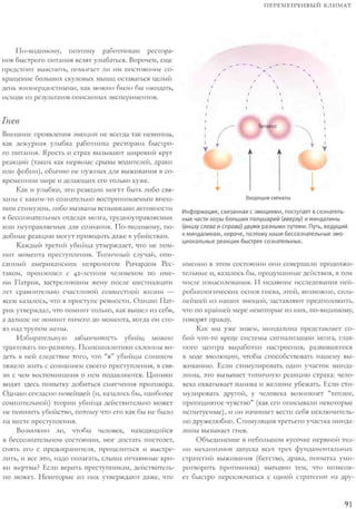 Rita karter kak_rabotaet_mozg