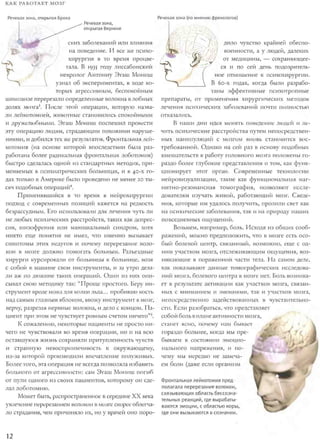 Rita karter kak_rabotaet_mozg