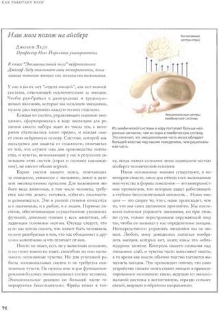 Rita karter kak_rabotaet_mozg