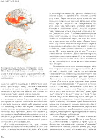 Rita karter kak_rabotaet_mozg