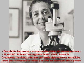 - Descubrió cómo crecen y se renuevan las células del sistema nervioso...  - Sí, en 1942: lo llamé “nerve growth factor” (NGF, Factor de Crecimiento Nervioso), y durante casi medio siglo estuvo en  entredicho, ¡hasta que se reconoció su validez y en 1986 me dieron por ello el premio Nobel! 