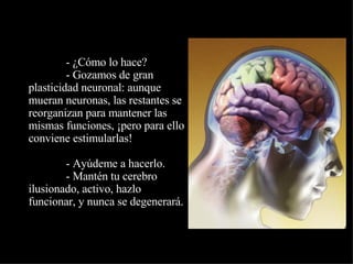                - ¿Cómo lo hace?              - Gozamos de gran plasticidad neuronal: aunque mueran neuronas, las restantes se reorganizan para mantener las mismas funciones, ¡pero para ello conviene estimularlas!              - Ayúdeme a hacerlo.              - Mantén tu cerebro ilusionado, activo, hazlo funcionar, y nunca se degenerará. 
