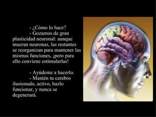 •
             - ¿Cómo lo hace?
             - Gozamos de gran
    plasticidad neuronal: aunque
    mueran neuronas, las restantes
    se reorganizan para mantener las
    mismas funciones, ¡pero para
    ello conviene estimularlas!

            - Ayúdeme a hacerlo.
            - Mantén tu cerebro
    ilusionado, activo, hazlo
    funcionar, y nunca se
    degenerará.
 