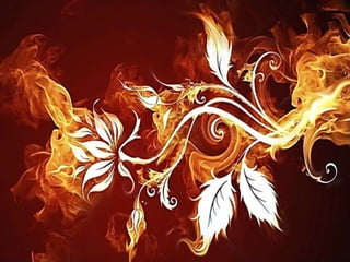 Ritam