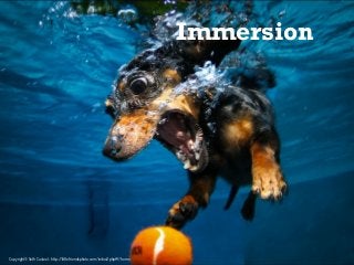 Immersion




Copyright© Seth Casteel - http://littlefriendsphoto.com/index2.php#!/home
 