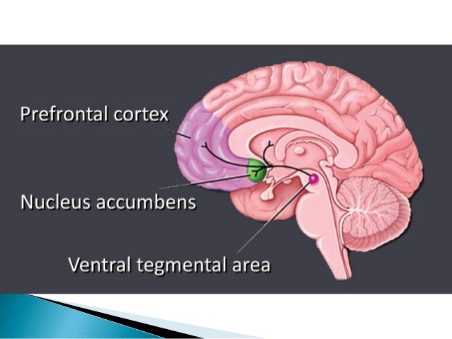 Gambling counselling basingstoke england Gambling counselling basingstoke england