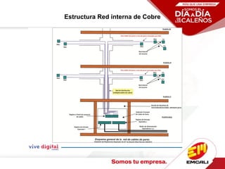 Estructura Red interna de Cobre
 