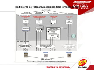 Red Interna de Telecomunicaciones Caja terminal de red
 