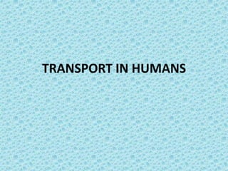 TRANSPORT IN HUMANS
 