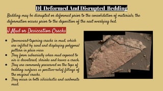 SEDIMENTARY STRUCTURES IN SEDIMENTOLOGY/ | PDF