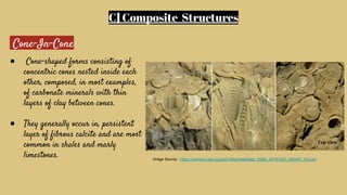 SEDIMENTARY STRUCTURES IN SEDIMENTOLOGY/ | PDF