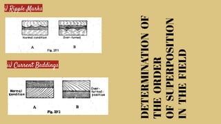 SEDIMENTARY STRUCTURES IN SEDIMENTOLOGY/ | PDF