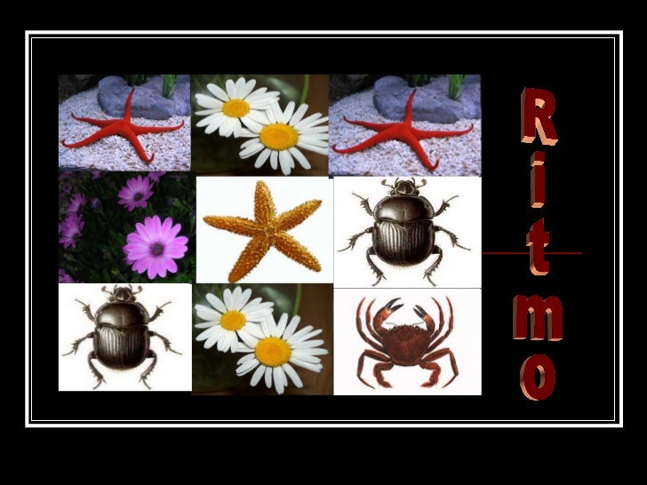 Ritmo