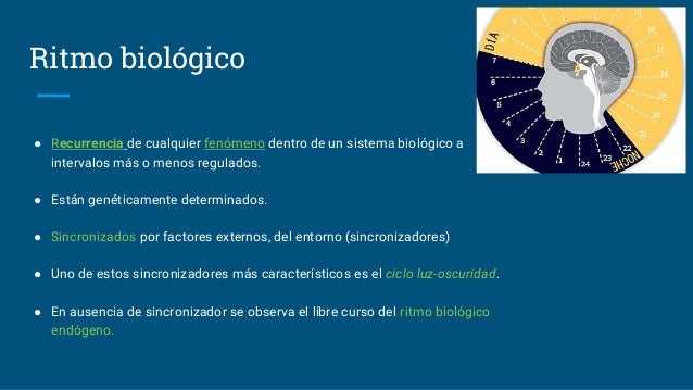 Ritmos Biologicos Las Corrientes De La Vida Y La Experiencia
