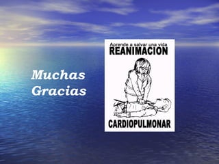 Muchas
Gracias
 