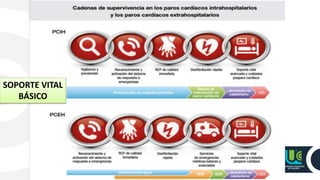 SOPORTE VITAL
BÁSICO
 
