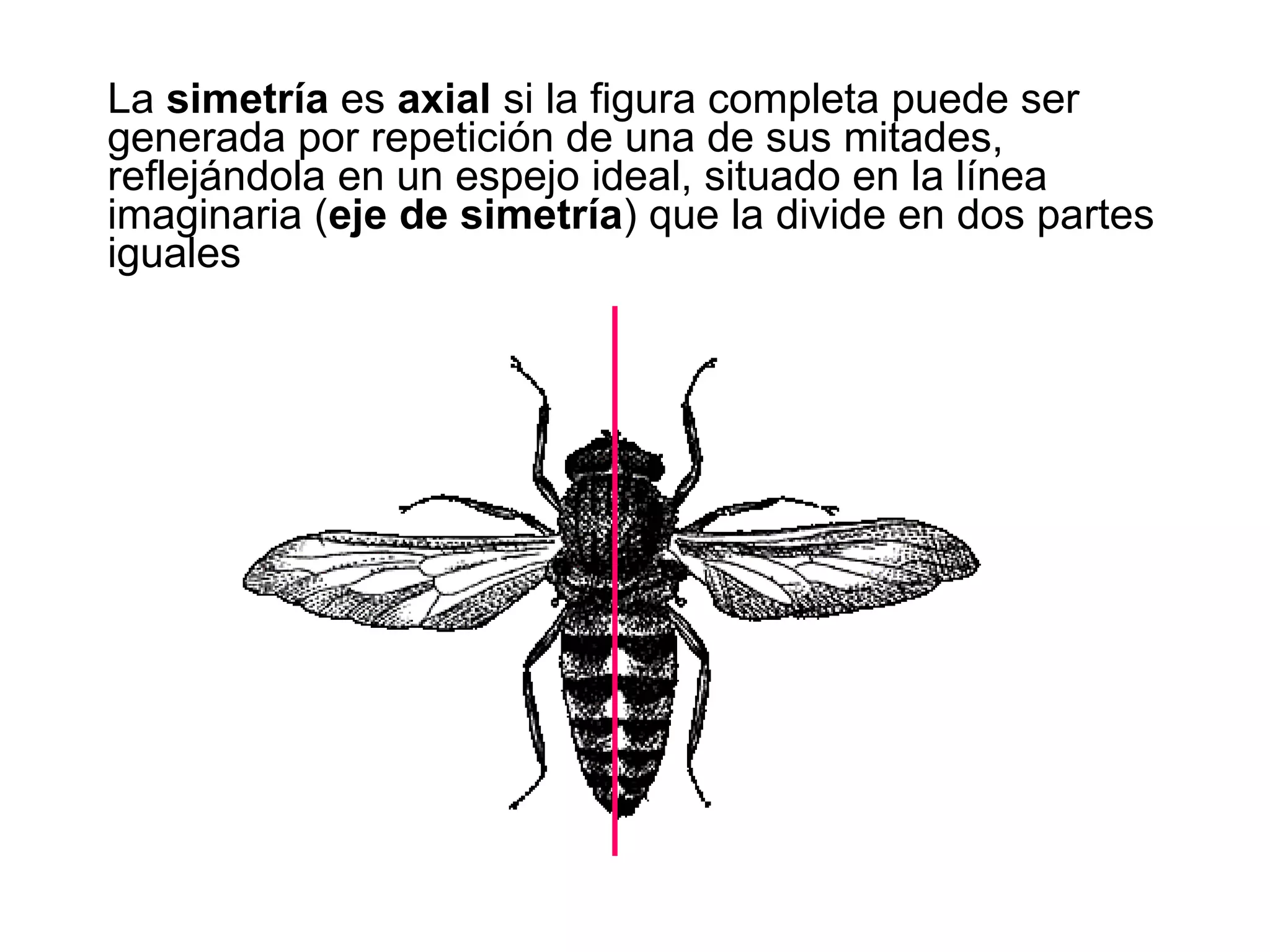 Ritmo simetria y equilibrio | PPT