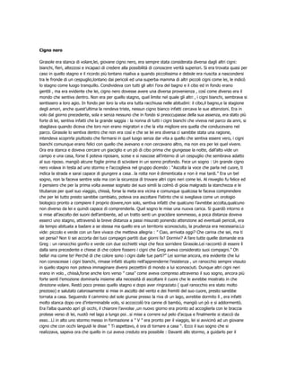 Cigno nero

Girasole era stanca di volare,lei, giovane cigno nero, era sempre stata considerata diversa dagli altri cigni:
bianchi, fieri, altezzosi e incapaci di credere alla possibilità di conoscere verità superiori. Si era trovata quasi per
caso in quello stagno e il ricordo più lontano risaliva a quando piccolissima e debole era riuscita a nascondersi
tra le fronde di un cespuglio,lontano dai pericoli ed una superba mamma di altri piccoli cigni come lei, le indicò
lo stagno come luogo tranquillo. Condivideva con tutti gli altri l’ora del bagno e il cibo ed in fondo erano
gentili , ma era evidente che lei, cigno nero dovesse avere una diversa provenienza , così come diverso era il
mondo che sentiva dentro. Non era per quello stagno, quel limite nel quale gli altri , i cigni bianchi, sembrava si
sentissero a loro agio. In fondo per loro la vita era tutta racchiusa nelle abitudini: il cibo,il bagno,e la stagione
degli amori, anche quest’ultima la rendeva triste, nessun cigno bianco infatti cercava le sue attenzioni. Era in
volo dal giorno precedente, sola e senza nessuno che in fondo si preoccupasse della sua assenza, era stato più
forte di lei, sentiva infatti che la grande saggia : la nonna di tutti i cigni bianchi che viveva nel parco da anni, si
sbagliava quando diceva che loro non erano migratori e che la vita migliore era quella che conducevano nel
parco. Girasole lo sentiva dentro che non era così e che se lei era diversa ci sarebbe stata una ragione,
intendeva scoprirla piuttosto che fermarsi in quel luogo senza dar vita a quello che sentiva essere vero, i cigni
bianchi comunque erano felici con quello che avevano e non cercavano altro, ma non era per lei quel vivere.
Ora era stanca e doveva cercare un giaciglio e un pò di cibo prima che giungesse la notte, dall’alto vide un
campo e una casa, forse lì poteva riposare, scese e si nascose all’interno di un cespuglio che sembrava adatto
al suo riposo. mangiò alcune foglie prima di scivolare in un sonno profondo. Fece un sogno : Un grande cigno
nero volava in testa ad uno stormo e l’accoglieva nel gruppo dicendo : “Ascolta la voce che parla nel cuore, ti
indica la strada e sarai capace di giungere a casa…la rotta non è dimenticata e non è mai tardi.” Era un bel
sogno, non la faceva sentire sola ma con la sicurezza di trovare altri cigni neri come lei. Al risveglio fu felice ed
il pensiero che per la prima volta avesse sognato dei suoi simili la colmò di gioia malgrado la stanchezza e le
titubanze per quel suo viaggio, chissà, forse la meta era vicina e comunque qualcosa le faceva comprendere
che per lei tutto presto sarebbe cambiato, poteva ora ascoltare l’istinto che si svegliava come un orologio
biologico pronto a compiere il proprio dovere,non solo, sentiva infatti che qualcuno l’avrebbe accolta,qualcuno
non diverso da lei e quindi capace di comprenderla. Quel sogno le mise una nuova carica. Si guardò intorno e
si mise all’ascolto dei suoni dell’ambiente, ad un tratto senti un gracidare sommesso, a poca distanza doveva
esserci uno stagno, attraversò la breve distanza a passi misurati ponendo attenzione ad eventuali pericoli, era
da tempo abituata a badare a se stessa ma quello era un territorio sconosciuto, la prudenza era necessaria.Lo
vide: piccolo e verde con un fare vivace che metteva allegria : ” Ciao, arrivata oggi? Che carina che sei, ma ti
sei persa? Non ti sei accorta dei tuoi compagni partiti due giorni fa? Dormivi? A fare tutte quelle domande era
Greg : un ranocchio gonfio e verde con due occhietti vispi che fece sorridere Girasole.Lei raccontò di essere lì
dalla sera precedente e chiese di che colore fossero i cigni che Greg aveva considerato suoi compagni.” Oh
bella! ma come te! Perché di che colore sono i cigni dalle tue parti?” Lei sorrise ancora, era evidente che lui
non conoscesse i cigni bianchi, rimase infatti stupito nell’apprenderne l’esistenza , un ranocchio sempre vissuto
in quello stagno non poteva immaginare diversi pezzettini di mondo a lui sconosciuti. Dunque altri cigni neri
erano in volo , chissà,forse anche loro verso ” casa” come aveva compreso attraverso il suo sogno, ancora più
forte sentì l’emozione dominarla insieme alla necessità di ascoltare il cuore che le avrebbe mostrato in che
direzione volare. Restò poco presso quello stagno e dopo aver ringraziato ( quel ranocchio era stato molto
prezioso) e salutato calorosamente si mise in ascolto del vento e dei fremiti del suo cuore, presto sarebbe
tornata a casa. Seguendo il cammino del sole giunse presso la riva di un lago, avrebbe dormito lì , era infatti
molto stanca dopo ore d’interminabile volo, si accoccolò tra canne di bambù, mangiò un pò e si addormentò.
Era l’alba quando aprì gli occhi, il chiarore l’avvolse ,un nuovo giorno era pronto ad accoglierla con le braccia
protese verso di lei, nuotò nel lago a lungo poi…si mise a correre sul pelo d’acqua e finalmente si staccò da
esso…Lì in alto uno stormo messo in formazione a ” V ” era pronto per il viaggio, lei si avvicinò ad un giovane
cigno che con occhi languidi le disse ” Ti aspettavo, è ora di tornare a casa “. Ecco il suo sogno che si
realizzava, sapeva ora che quello in cui aveva creduto era possibile : Davanti allo stormo, a guidarlo per il
 