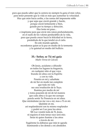 Celebrando la Unión | 53


para que pueda saber que la carrera no siempre la gana el más veloz,
 para tener presente que la vida es más que aumentar la velocidad.
     Haz que mire hacia arriba, a las ramas del imponente roble
                y que sepa que creció grande y fuerte,
                   porque creció lentamente y bien,
                  guiado por tu tiempo y dirección.
                         Haz lento mi paso...
       e inspírame para que envíe mis raíces profundamente,
          en el suelo de los valores perdurables de la vida,
        para que pueda crecer hacia la felicidad en la tierra,
               preámbulo de la que tendré en el cielo.
                        En este mundo agitado,
        recordemos quien es la paz en medio de la tormenta
                  y la quietud en medio del bullicio.


                   35.- Señor, se Tú mi guía
                      Madre Teresa de Calcuta

                    Oh Jesús, ayúdame a difundir
                  en todos los lugares tu fragancia,
                    en cualquier sitio al que vaya.
                   Inunda mi alma con tu Espíritu
                            y con tu vida.
                      Penetra en mí y aduéñate
                  de mi Ser en modo tan completo
                           que toda mi vida
                    sea una irradiación de la Tuya.
                       Ilumina por medio de mí
                y toma posesión de mí de tal manera
                 que cada alma a la que me acerque
               pueda sentir Tu Presencia en mi alma.
          Que mirándome no me vea a mí, mas a Ti en mí.
                            Quédate en mí,
            así resplandeceré con tu mismo resplandor
                    y podré ser Luz para los otros.
                   Mi Luz vendrá toda de Ti, Jesús,
               ni siquiera el más tenue rayo será mío.
                  Serás tú quien ilumine a los otros
                            a través de mí.
             Sugiéreme la alabanza que más te agrada
              iluminando a los demás a mi alrededor.
 