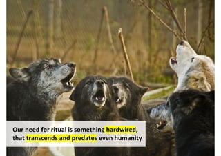 Our need for ritual is something hardwired,
that transcends and predates even humanity
                                 http://www.flickr.com/photos/13586721@N05/3017017329/
 