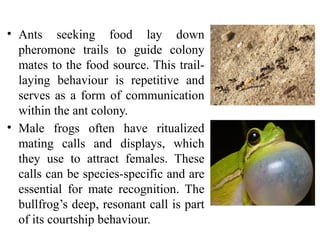 Ritualization of Behaviour in Animals: Evolution, Functions, and ...