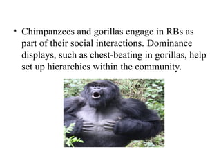 Ritualization of Behaviour in Animals: Evolution, Functions, and ...