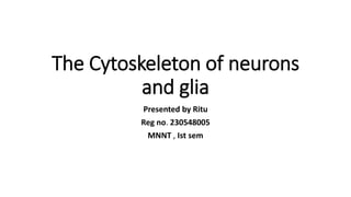 The Cytoskeleton of neurons
and glia
Presented by Ritu
Reg no. 230548005
MNNT , Ist sem
 