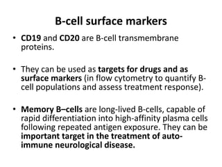 B-cell surface markers
• CD19 and CD20 are B-cell transmembrane
proteins.
• They can be used as targets for drugs and as
surface markers (in flow cytometry to quantify B-
cell populations and assess treatment response).
• Memory B–cells are long-lived B-cells, capable of
rapid differentiation into high-affinity plasma cells
following repeated antigen exposure. They can be
important target in the treatment of auto-
immune neurological disease.
 