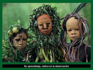 Su aprendizaje, radica en la observación 