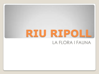 RIU RIPOLL
    LA FLORA I FAUNA
 