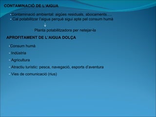 CONTAMINACIÓ DE L’AIGUA Contaminació ambiental: aigües residuals, abocaments…. Cal potabilitzar l’aigua perquè sigui apte pel consum humà Planta potabilitzadora per netejar-la APROFITAMENT DE L’AIGUA DOLÇA Consum humà Indústria Agricultura Atractiu turístic: pesca, navegació, esports d’aventura Vies de comunicació (rius)  