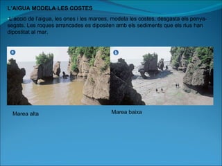 L’AIGUA MODELA LES COSTES L’acció de l’aigua, les ones i les marees, modela les costes, desgasta els penya-segats. Les roques arrancades es dipositen amb els sediments que els rius han dipostitat al mar. Marea alta Marea baixa 