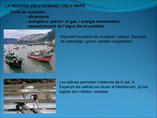 LA RIQUESA DELS OCEANS I DELS MARS Fonts de recursos: - alimentaris - energètics: petroli i el gas, i energia mareomatriu - dessalinització de l’aigua (fer-la potable) Important la pesca de crustacis i peixos. Barques de cabotatge i grans vaixells congeladors. Les salines permeten l’obtenció de la sal. A Espanya les salines es situen al Mediterrani, pq les aigües són càlides i salades. 