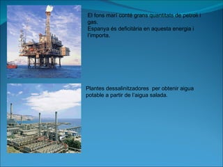 El fons marí conté grans quantitats de petroli i gas. Espanya és deficitària en aquesta energia i l’importa. Plantes dessalinitzadores  per obtenir aigua potable a partir de l’aigua salada. 