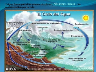 L’aigua forma part d’un procés circulatori,  CICLE DE L’AIGUA , i és imprescindible per la vida. 