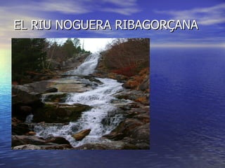 EL RIU NOGUERA RIBAGORÇANA
 