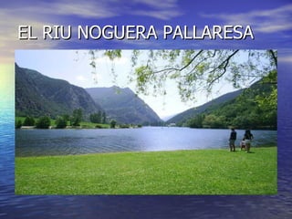 EL RIU NOGUERA PALLARESA
 