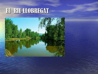 EL RIU LLOBREGAT
 