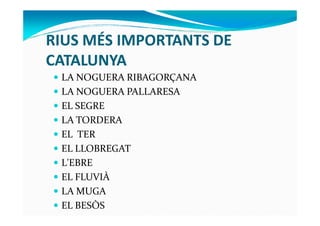 LA NOGUERA RIBAGORÇANA
LA NOGUERA PALLARESA
EL SEGRE
RIUS MÉS IMPORTANTS DE
CATALUNYA
LA TORDERA
EL TER
EL LLOBREGAT
L'EBR...