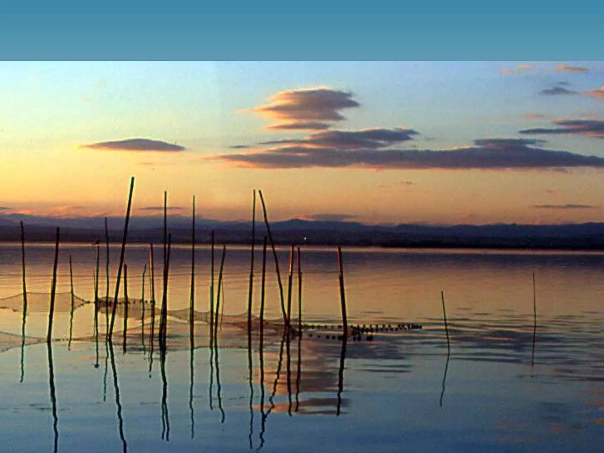 • Rius del vessant mediterrani: llevat del cas de l’Ebre, els rius
mediterranis són curts, de poc cabal i molt irregulars. Les
crescudes d’aquests rius són molt notables quan plou
torrencialment a la primavera i a la tardor, però pateixen
estiatges molt intensos durant l’estiu, com són els casos del
Túria o del Segura.
A la costa mediterrània i a l’Atlàntic sud s’han format estuaris i
deltes. Es tracta de dipòsits fluvials a la desembocadura dels
rius; en el primer cas, l’erosió marina supera l’acumulació
fluvial, i en el segon, a l’inrevés. També hi ha albuferes,
llacunes formades per aigües marines en zones de platja baixa
a causa de l’avançament de la terra sobre el mar. Aquests
aiguamolls litorals han donat lloc a ecosistemes molt variats.
 