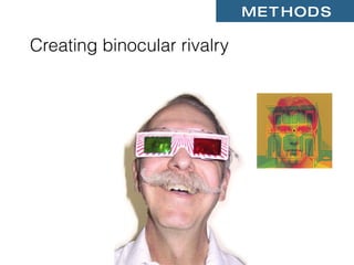 Visual Rivalry Binocular Rivalry and Visual Awareness in Human Extrastriate Cortex | PPT