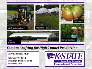 Heirlooms


MeBr Alternative ?      Organics


                                   `

High                                   Home Gardens
Tunnels

Tomato Grafting for High Tunnel Production
Cary L. Rivard, Ph.D.
February 9, 2012
MN High Tunnels Conf.
Brainerd, MN
 