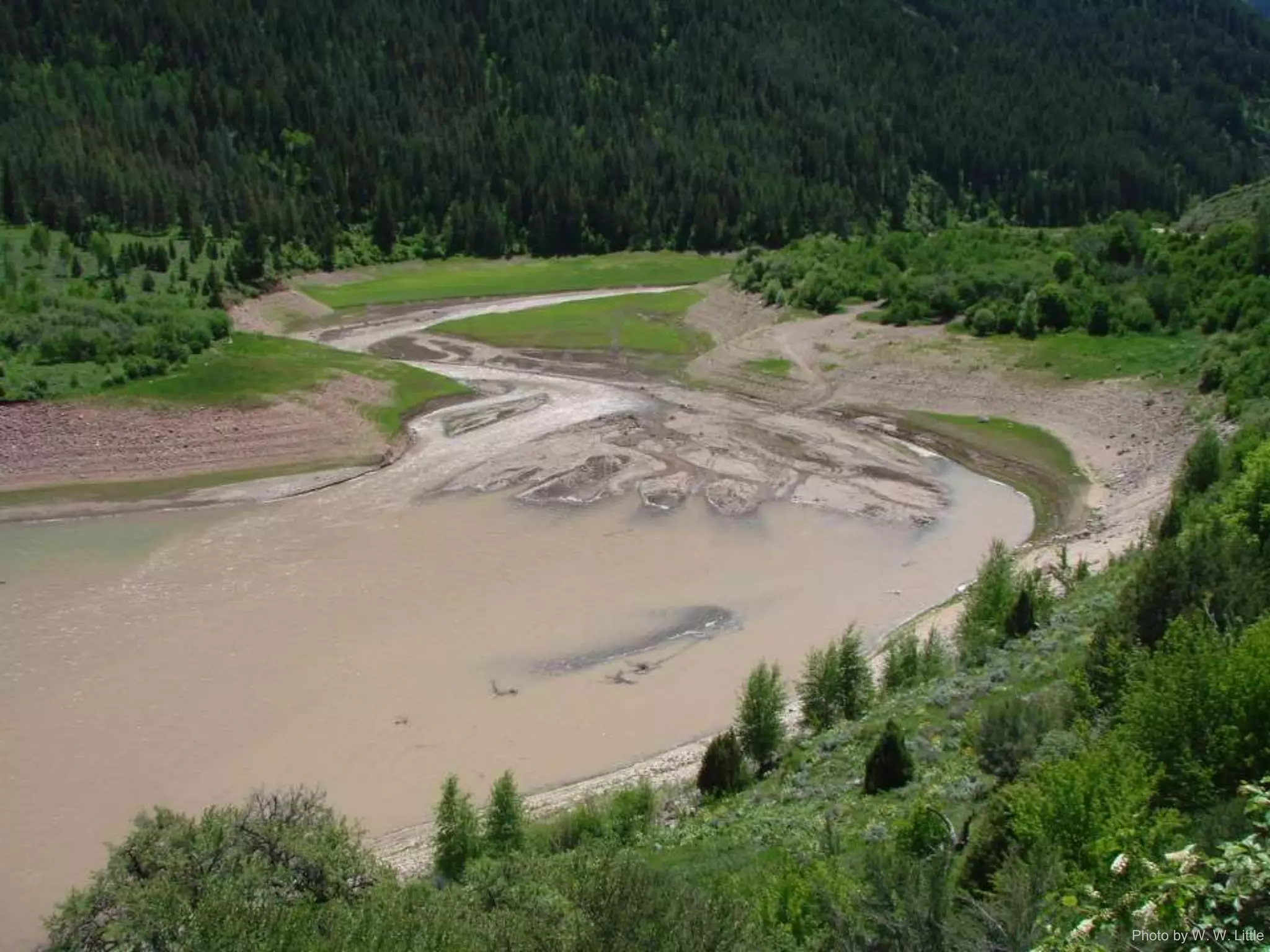 Photo by W. W. Little
 