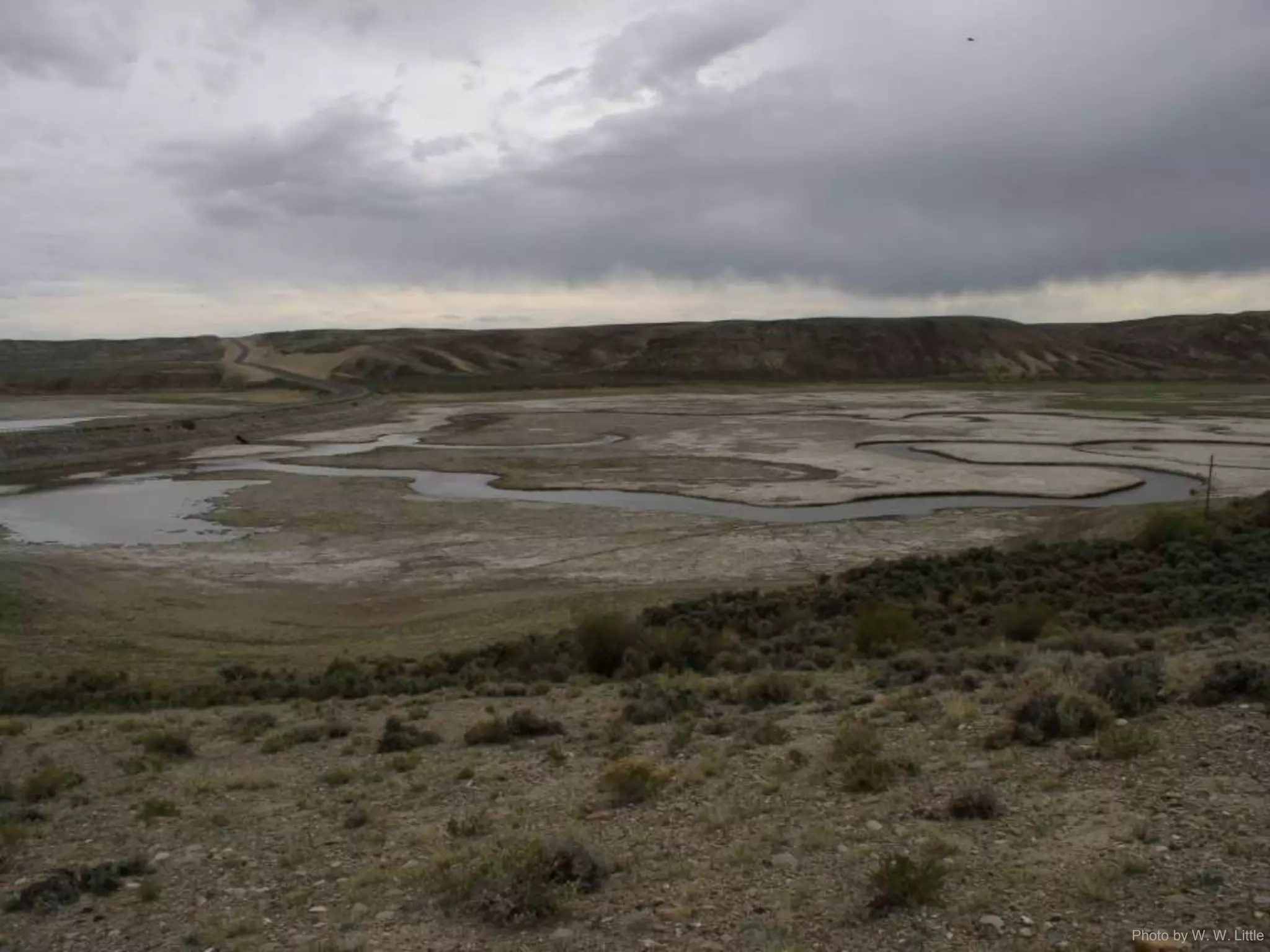 Photo by W. W. Little
 