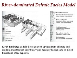 River-dominated Deltaic Facies Model
River-dominated deltaic facies coarsen-upward from offshore and
prodelta mud through distributary and beach or barrier sand to mixed
fluvial and splay deposits.
 