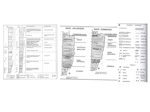 River-dominated Delta Morphology.ppt | Geography | Science
