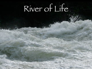 River of Life
 