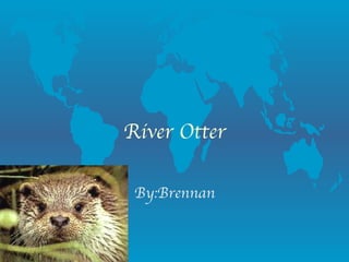 River Otter By:Brennan 